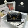 [premium] C 샤* 플랩백 라지