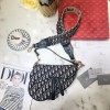 [premium] D 디* 오블리크 새들 핸드&숄더 25.5CM