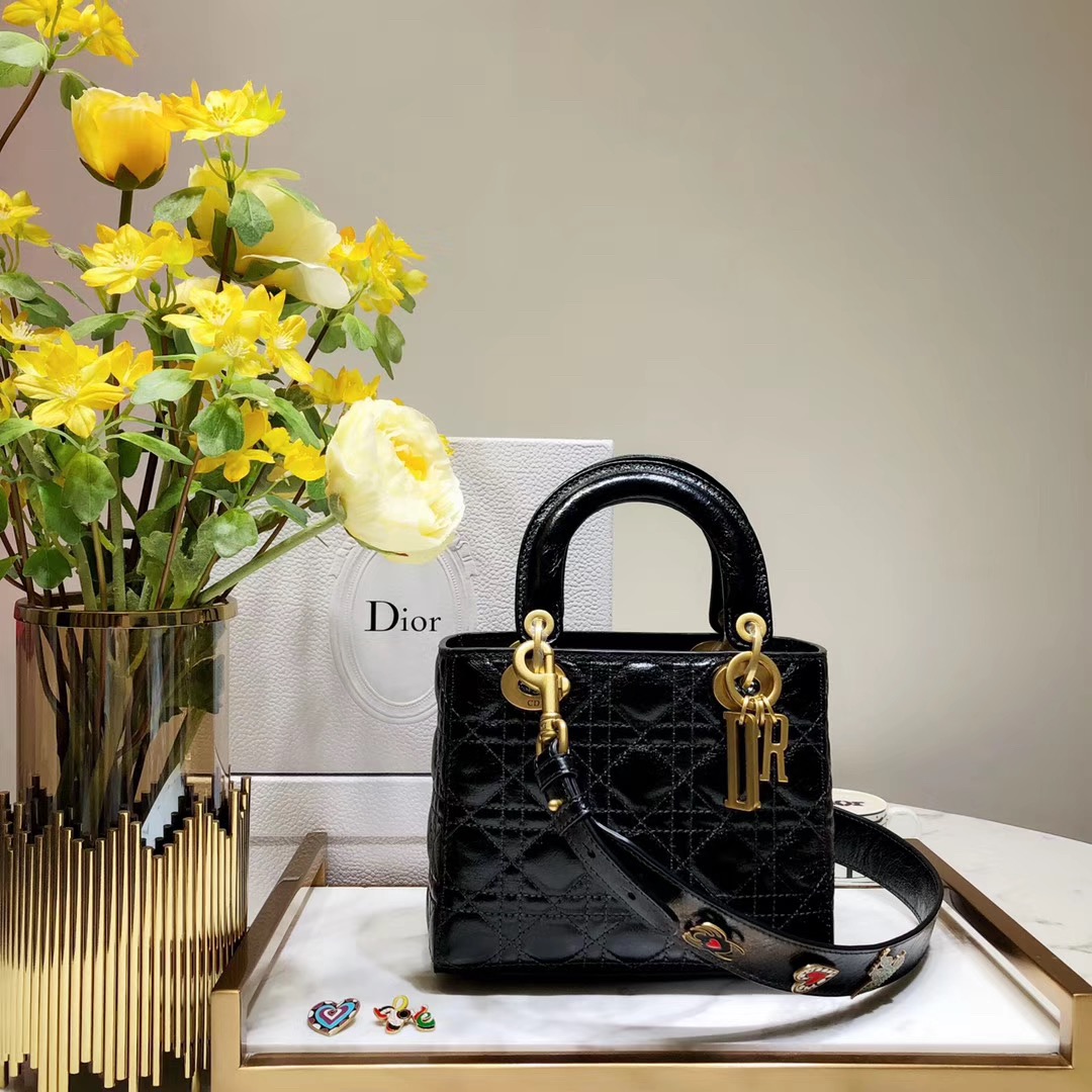 [premium] D 디* 레이디백 20CM