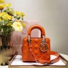 [premium] D 디* 레이디백 20CM
