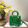 [premium] D 디* 레이디백 20CM