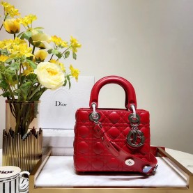 [premium] D 디* 레이디백 20CM