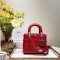 [premium] D 디* 레이디백 20CM