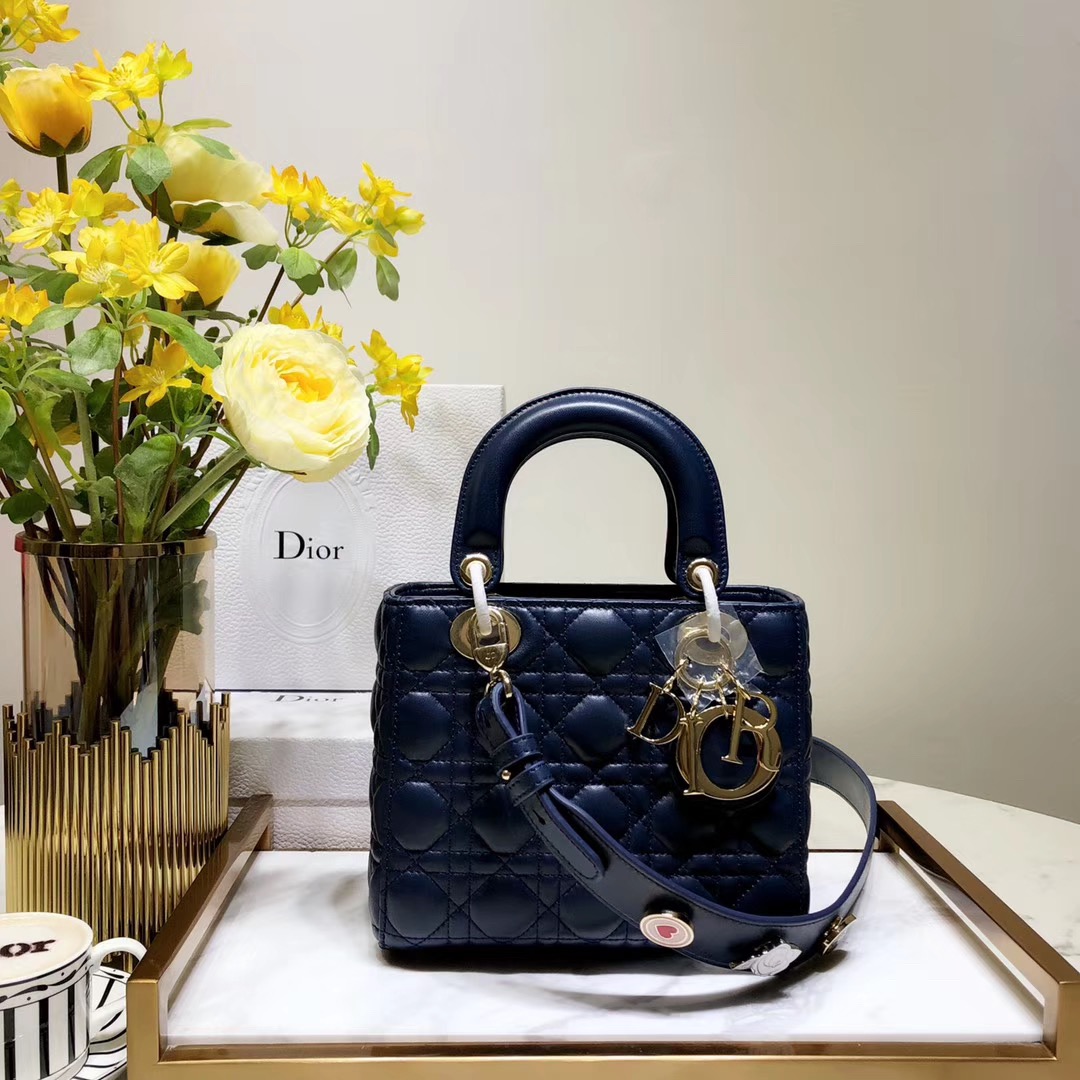 [premium] D 디* 레이디백 20CM