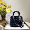 [premium] D 디* 레이디백 20CM