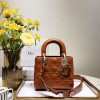 [premium] D 디* 레이디백 20CM