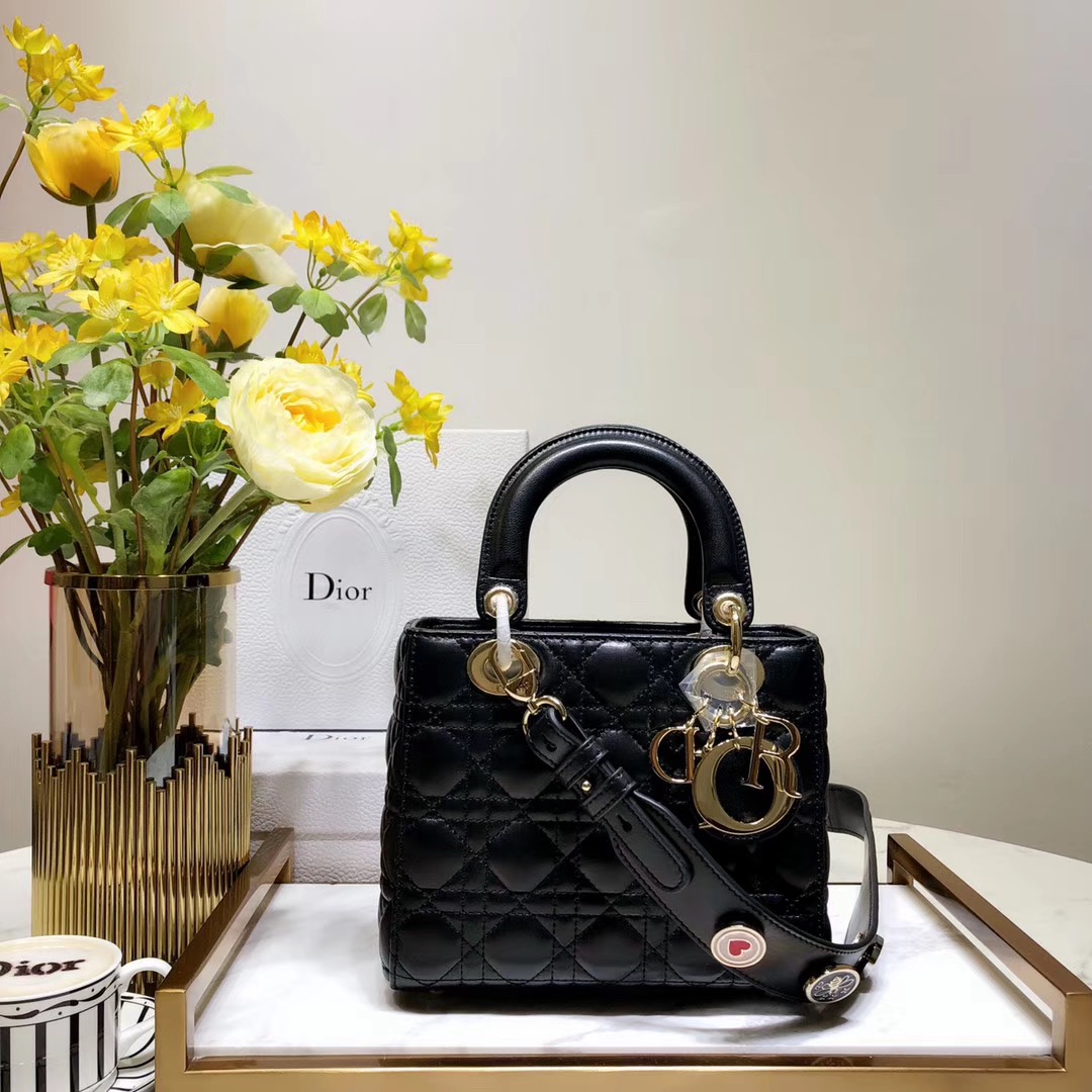 [premium] D 디* 레이디백 20CM