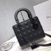 [premium] D 디* 레이디 신상 24CM