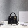 [premium] D 디* 레이디백 금장 24CM