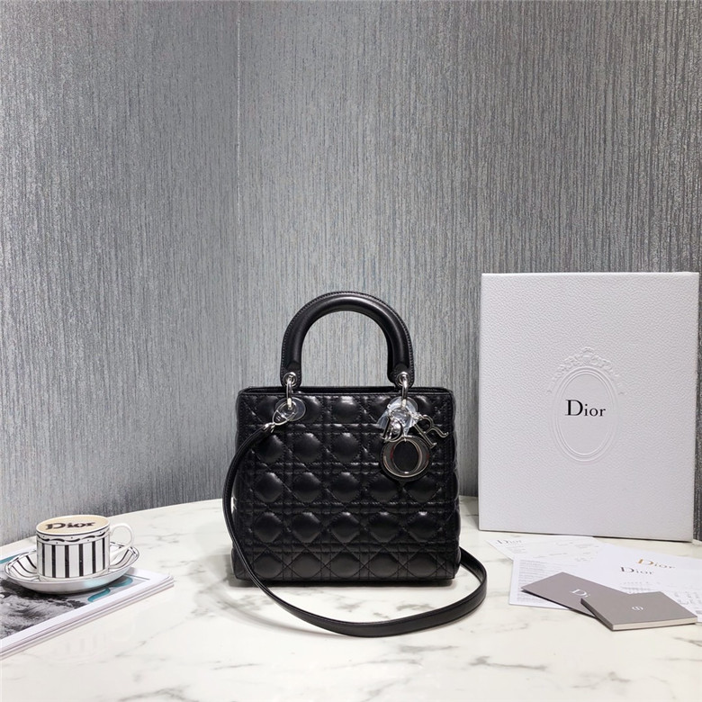 [premium] D 디* 레이디백 은장 24CM